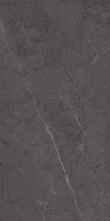 Elegant Gris porcelain tile surface