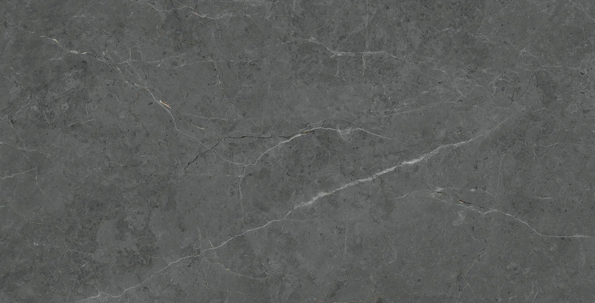 Élégant Gris porcelain tile surface