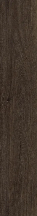Leo Forest porcelain tile surface