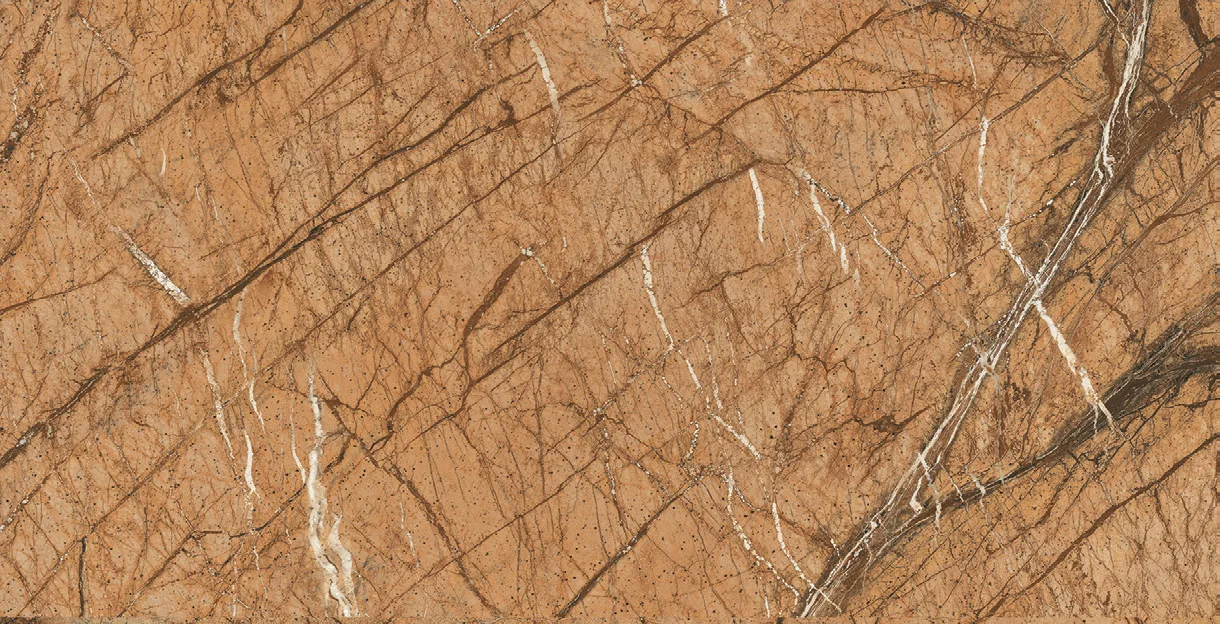 Rain Forest Brown porcelain tile surface