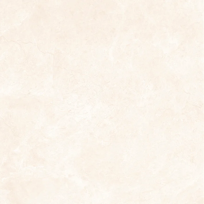 Regina porcelain tile surface