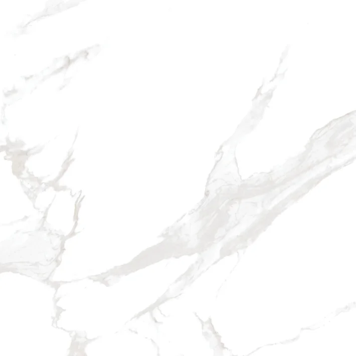 Zelligue porcelain tile surface