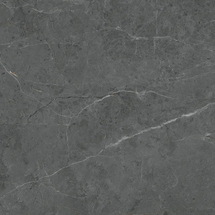 Élégant Gris porcelain tile surface