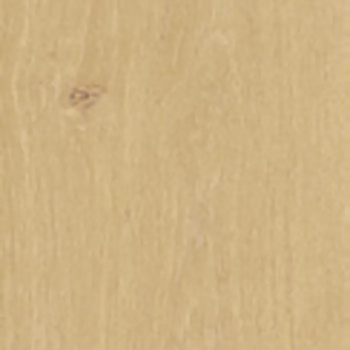 Leo Olivier porcelain tile surface