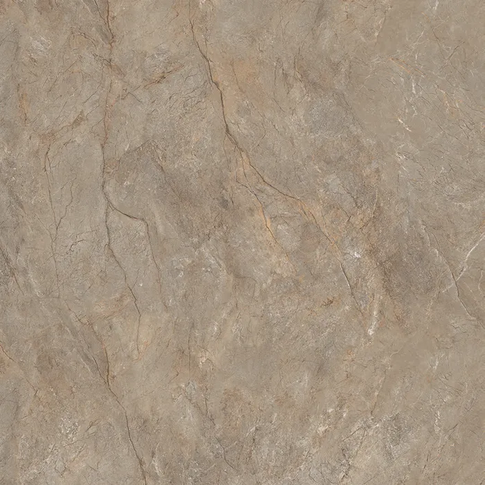 Lotus porcelain tile surface