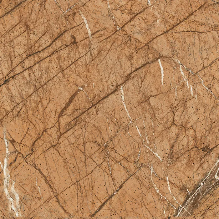 Rain Forest Brown porcelain tile surface