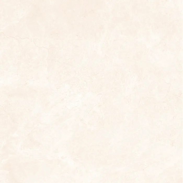 Regina porcelain tile surface