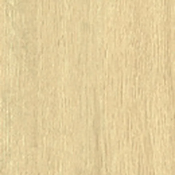 Wood Beige porcelain tile surface